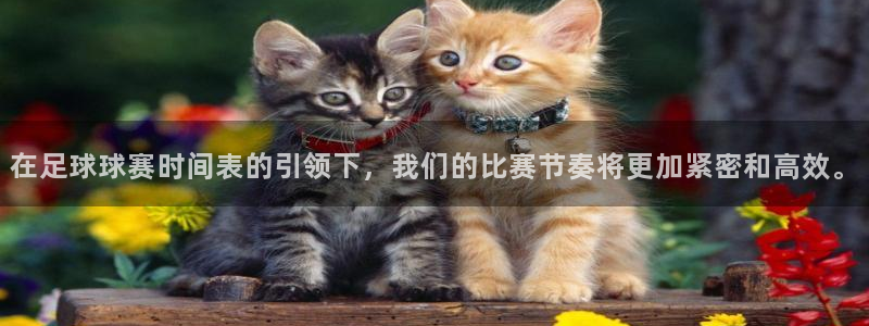 在足球球赛时间表的引领下，我们的比赛节奏将更加紧密和高效。