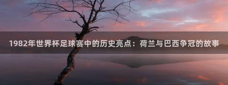 1982年世界杯足球赛中的历史亮点：荷兰与巴西争冠的故事