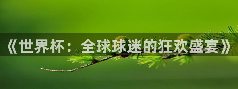 《世界杯：全球球迷的狂欢盛宴》