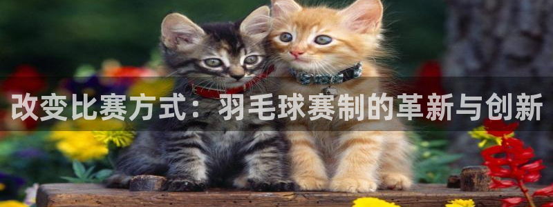 改变比赛方式：羽毛球赛制的革新与创新