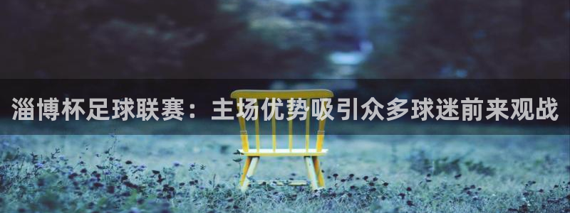 淄博杯足球联赛：主场优势吸引众多球迷前来观战