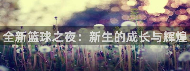 mk体育平台网址：全新篮球之夜：新生的成长与辉煌