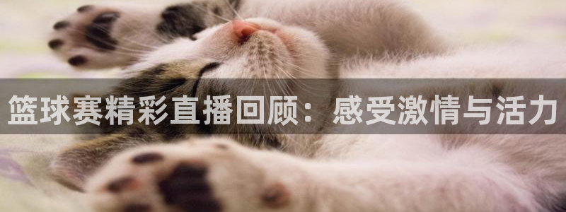 mk体育app网址：篮球赛精彩直播回顾：感受激情与活力